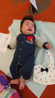 20190111120533491.jpg