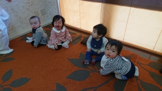 20190215152539672.jpg